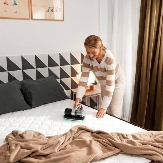 Cecotec rankinis čiužinių ir apmušalų siurblys