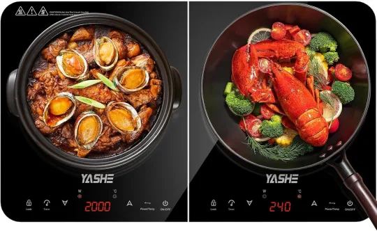 Индукционная варочная панель YASHE с двумя конфорками